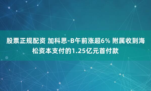 股票正规配资 加科思-B午前涨超6% 附属收到海松资本支付的1.25亿元首付款