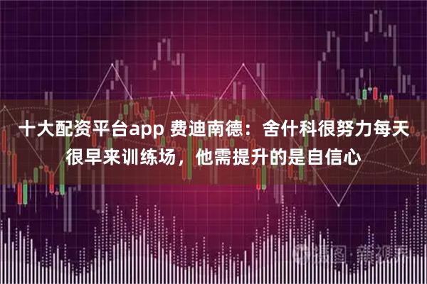 十大配资平台app 费迪南德：舍什科很努力每天很早来训练场，他需提升的是自信心