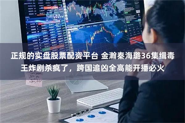 正规的实盘股票配资平台 金瀚秦海璐36集缉毒王炸剧杀疯了，跨国追凶全高能开播必火